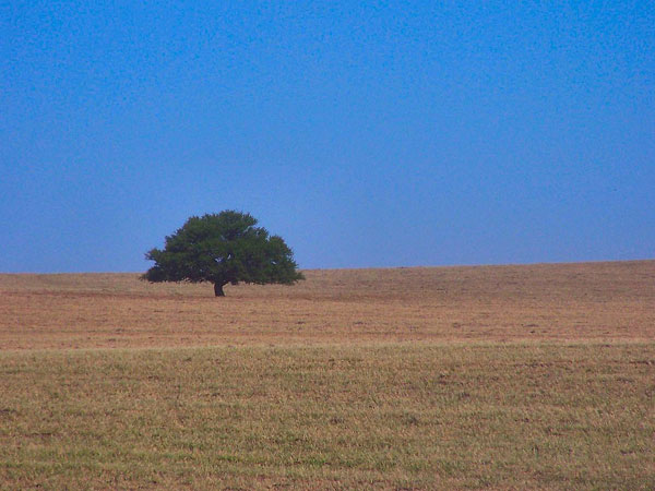 Empatel partners with Claro Argentina to boost connectivity in La Pampa