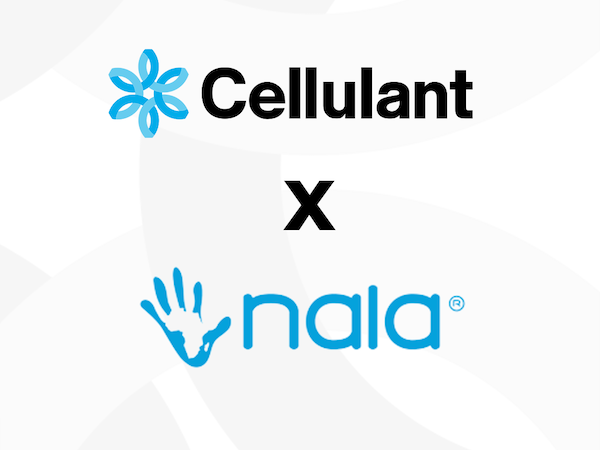 Tanzanian fintech NALA partners Cellulant for remittance support