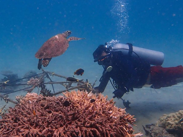 Tēnaka partners with Orange Business to scale its coral reef restoration program