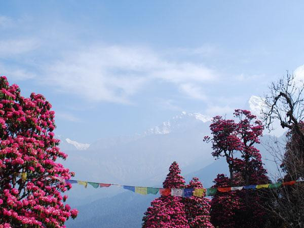 Nepal’s Mercantile Space teams up with Rivada Space Networks