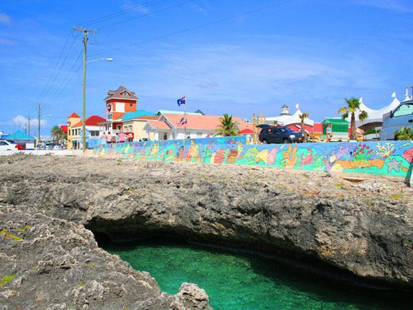 Logic augmenting Cayman Islands customer experience with Calix