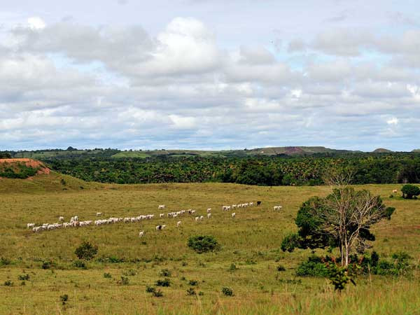 Cooperation agreement aims to strengthen connectivity in Colombia