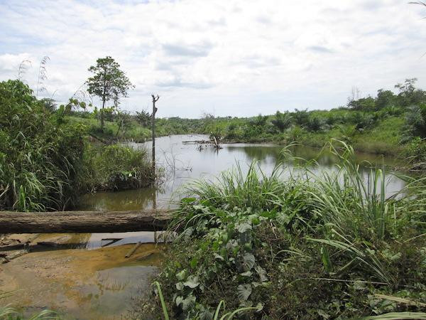 Starlink signs collaboration deal with Indonesia’s APJII