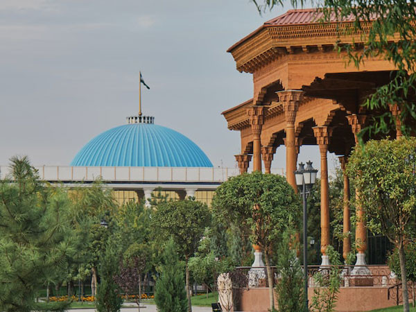 Veon’s Beeline Uzbekistan launches NOC and AI software firm