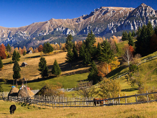 Vodafone and Orange place 4G calls on shared Open RAN sites in Romania