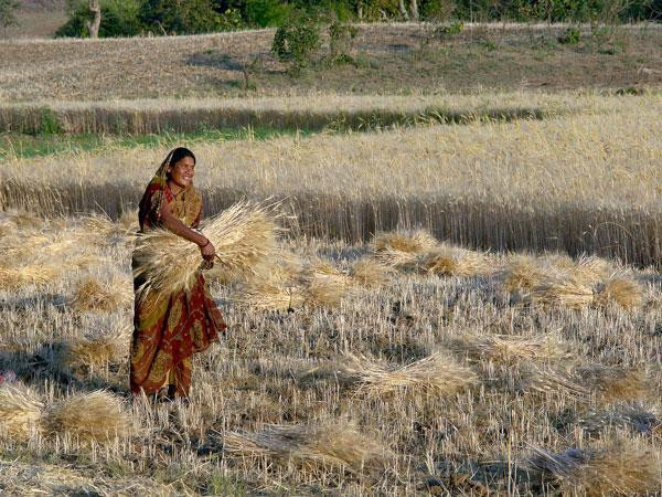 Airtel and Ericsson launch first rural 5G trials in India