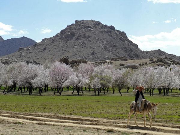 Taliban escalates internet blackout in Afghanistan