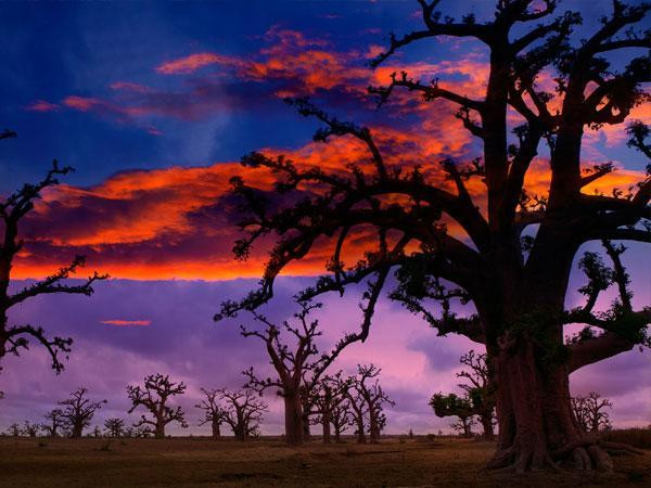 Digital Transformation and the Path to SDN in Africa’s Unique Market