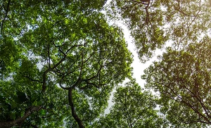 Interview: GSMA’s Steven Moore on the industry’s Net Zero goals