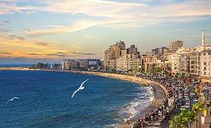 Egypt aims to boost local mobile phone production