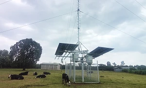 Ethio Telecom and ZTE install 152 base stations in rural areas