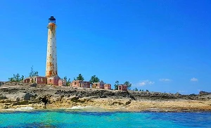 Lynk to deliver LEO connectivity to ALIV and Telecel Centrafrique