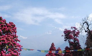 Nepal lifts block on social media sites 