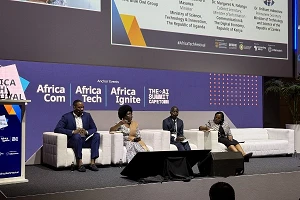 African Ministers urge private sector collaboration amid regulatory criticisms