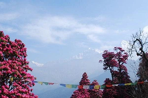 DataHub and Hosted AI plan AI cloud offering in Nepal