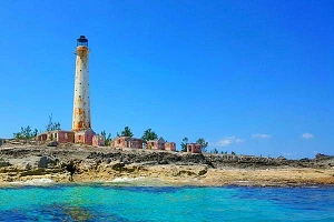 Lynk to deliver LEO connectivity to ALIV and Telecel Centrafrique