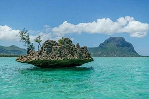 SIM registration starts in Togo but is abandoned in Mauritius